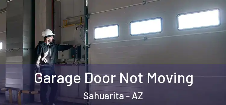  Garage Door Not Moving Sahuarita - AZ