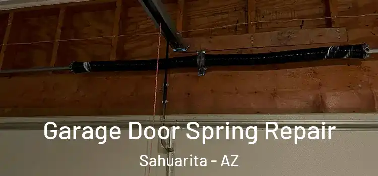 Garage Door Spring Repair Sahuarita - AZ