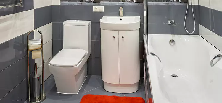 Hansgrohe Shaving Mirror Sahuarita