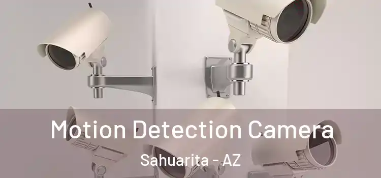  Motion Detection Camera Sahuarita - AZ