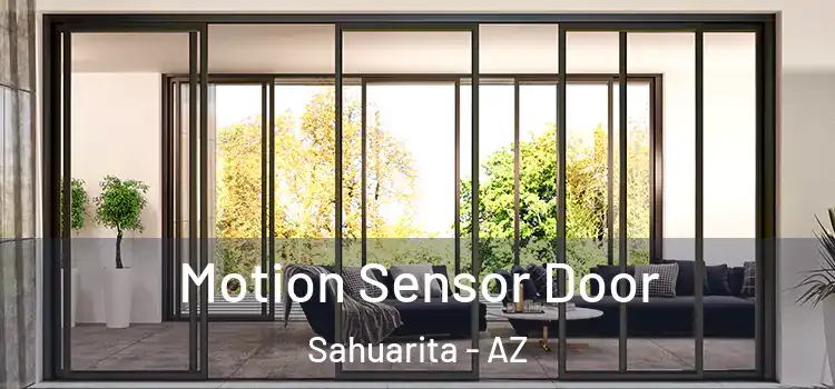  Motion Sensor Door Sahuarita - AZ